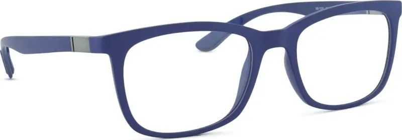 Ray-Ban 0RX7230 5207 54