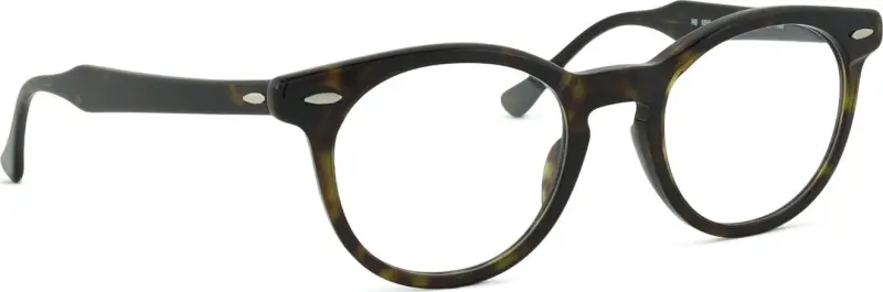 Ray-Ban Eagleeye 0RX5598 2012 49