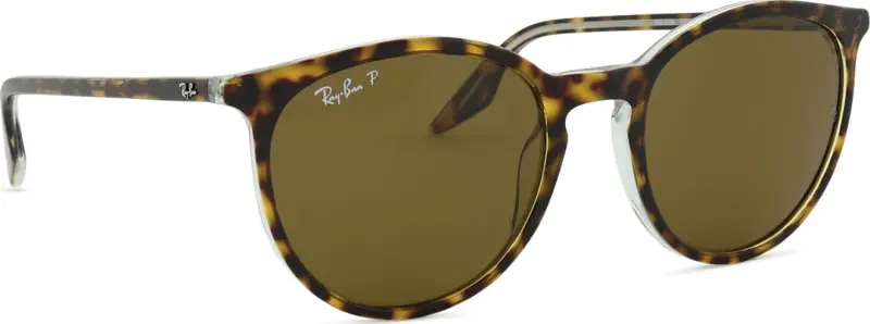 Ray-Ban RB2204 139357 54