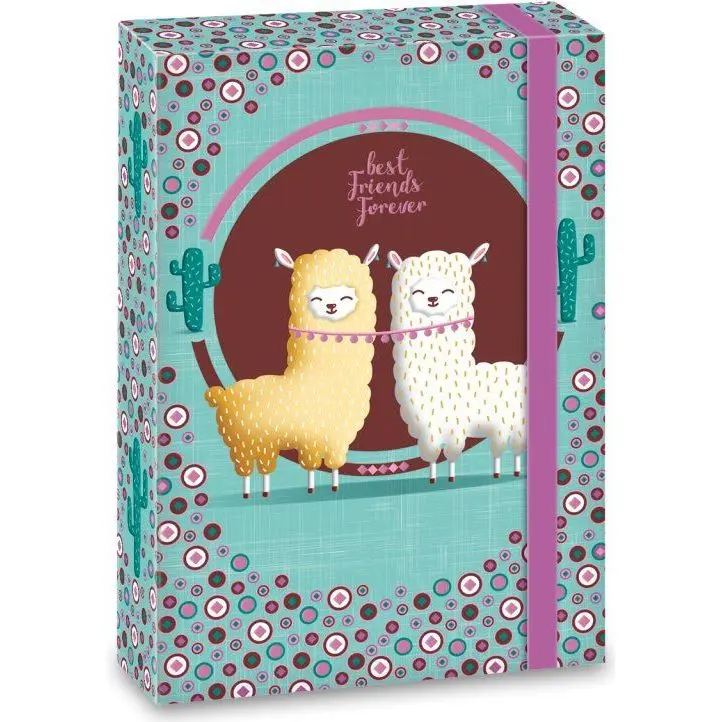 Ars Una Box na sešity Best Friends A5