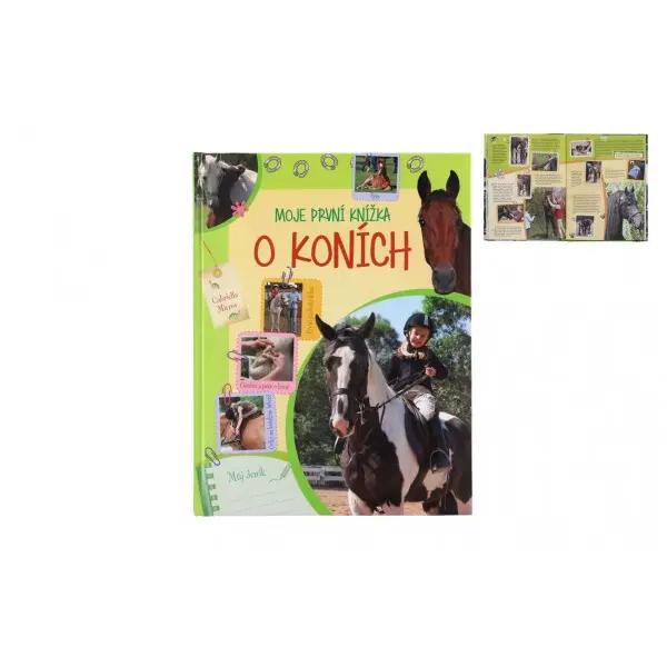 Moje první knížka o koních - Můj deník