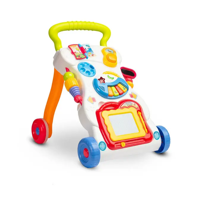 TOYZ Chodítko duha se zvuky Rainbow