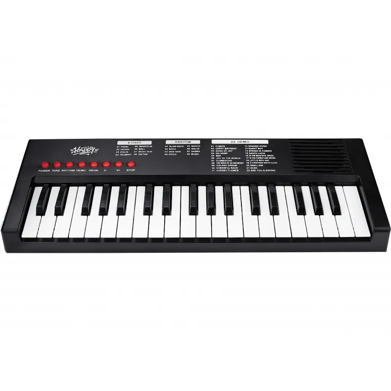 Klávesy s mikrofonem 40cm