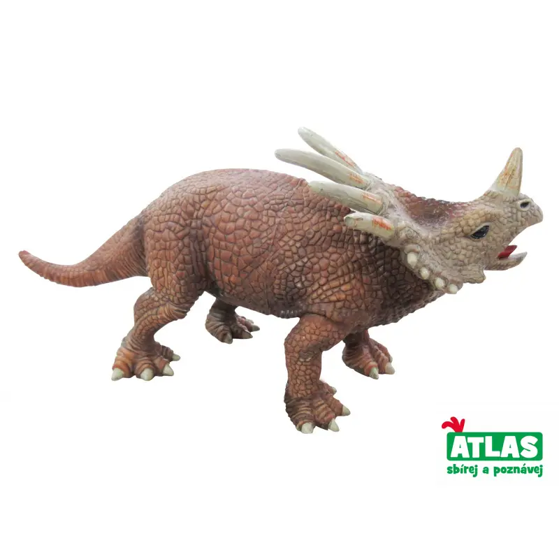 Dinosaurus Triceratops, Atlas, W001808