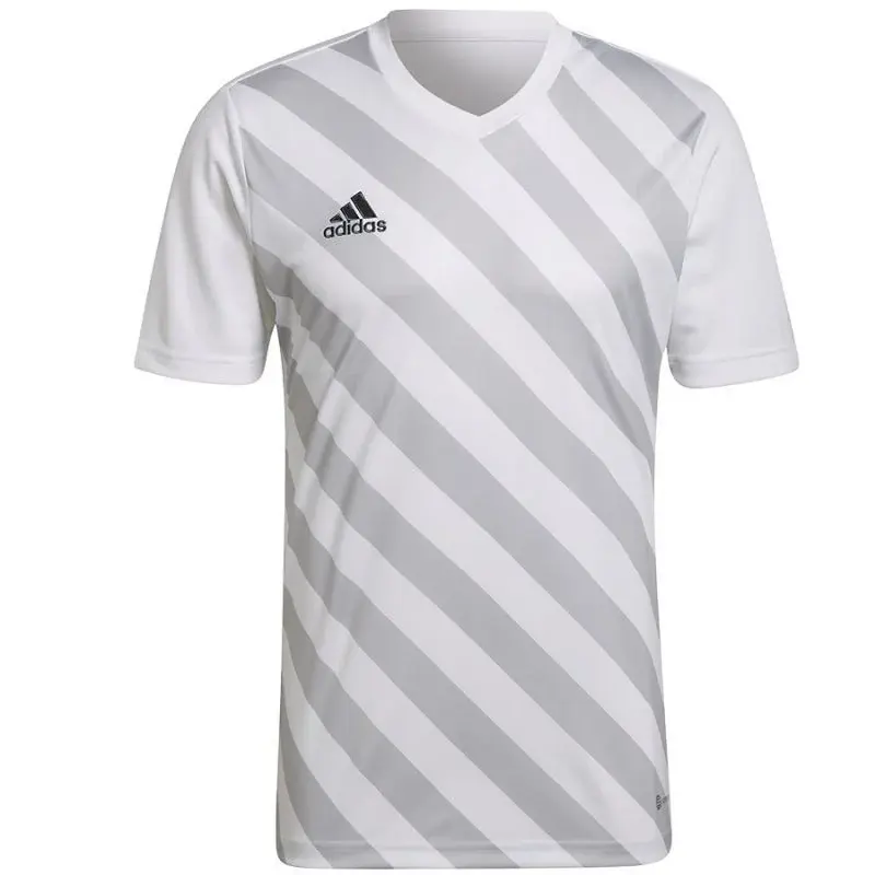 Pánský dres Adidas Entrada 22 Graphic Jersey M HF0129