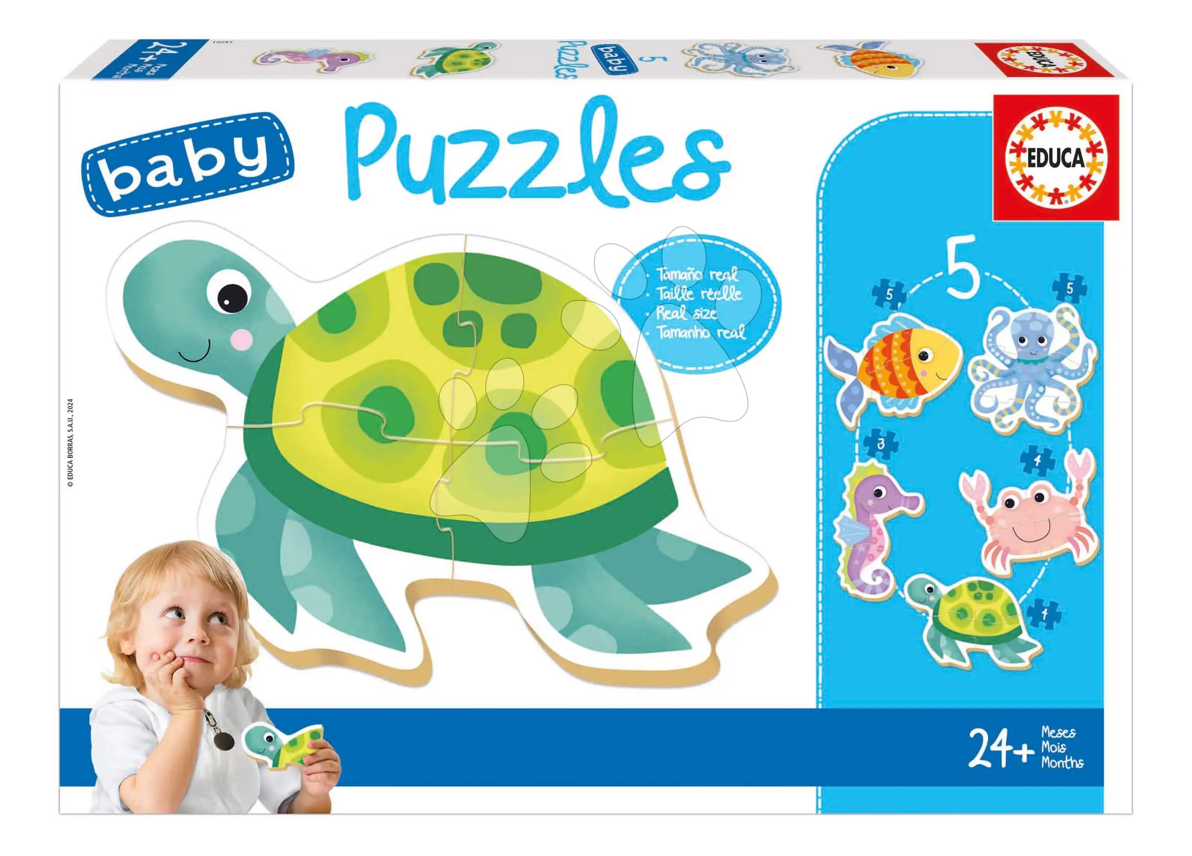 Baby puzzle Mořská zvířátka Educa 5obrázkové od 24 měsíců
