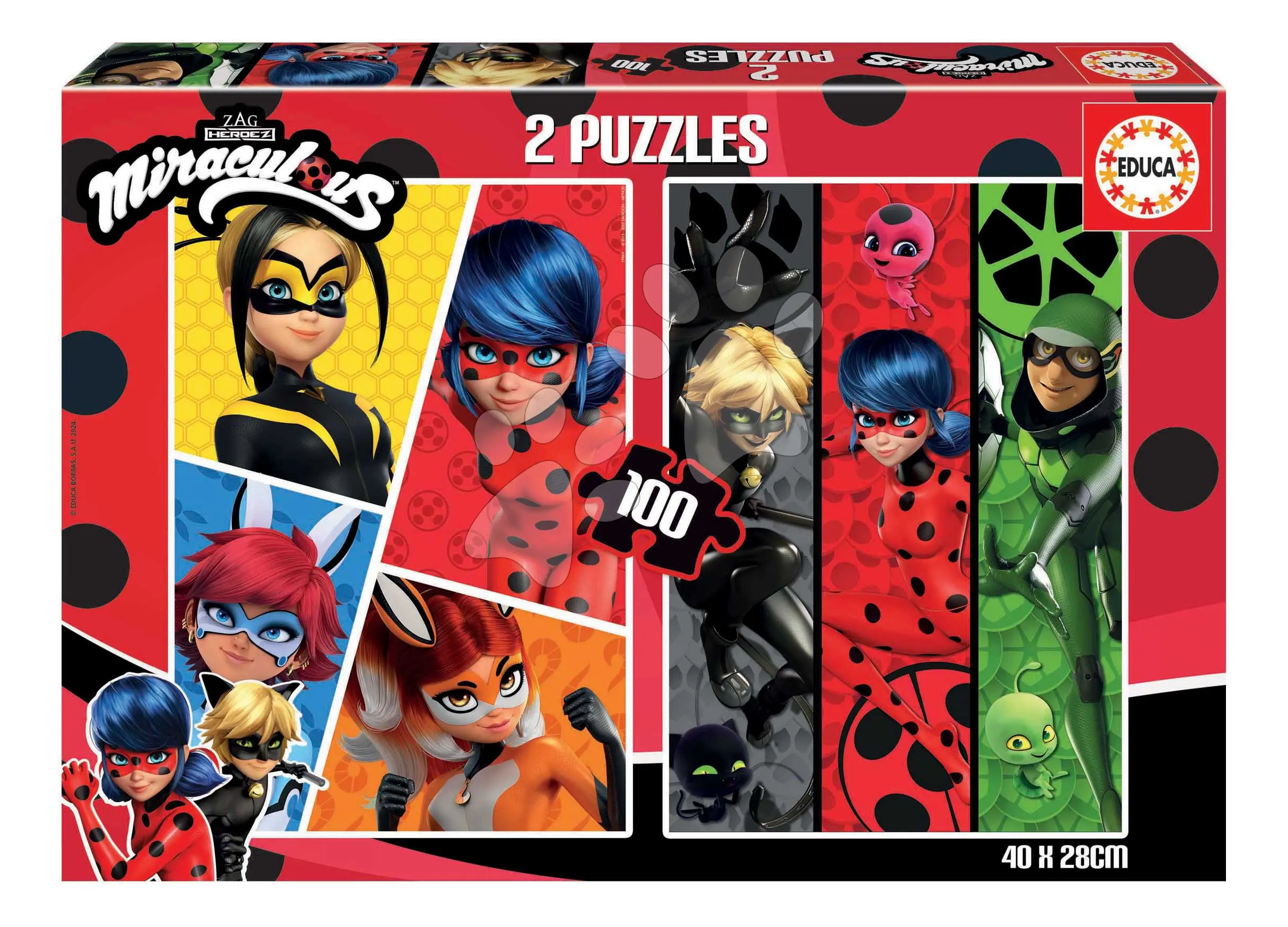 Puzzle Kouzelná Beruška a Černý kocour/2x100 dílků