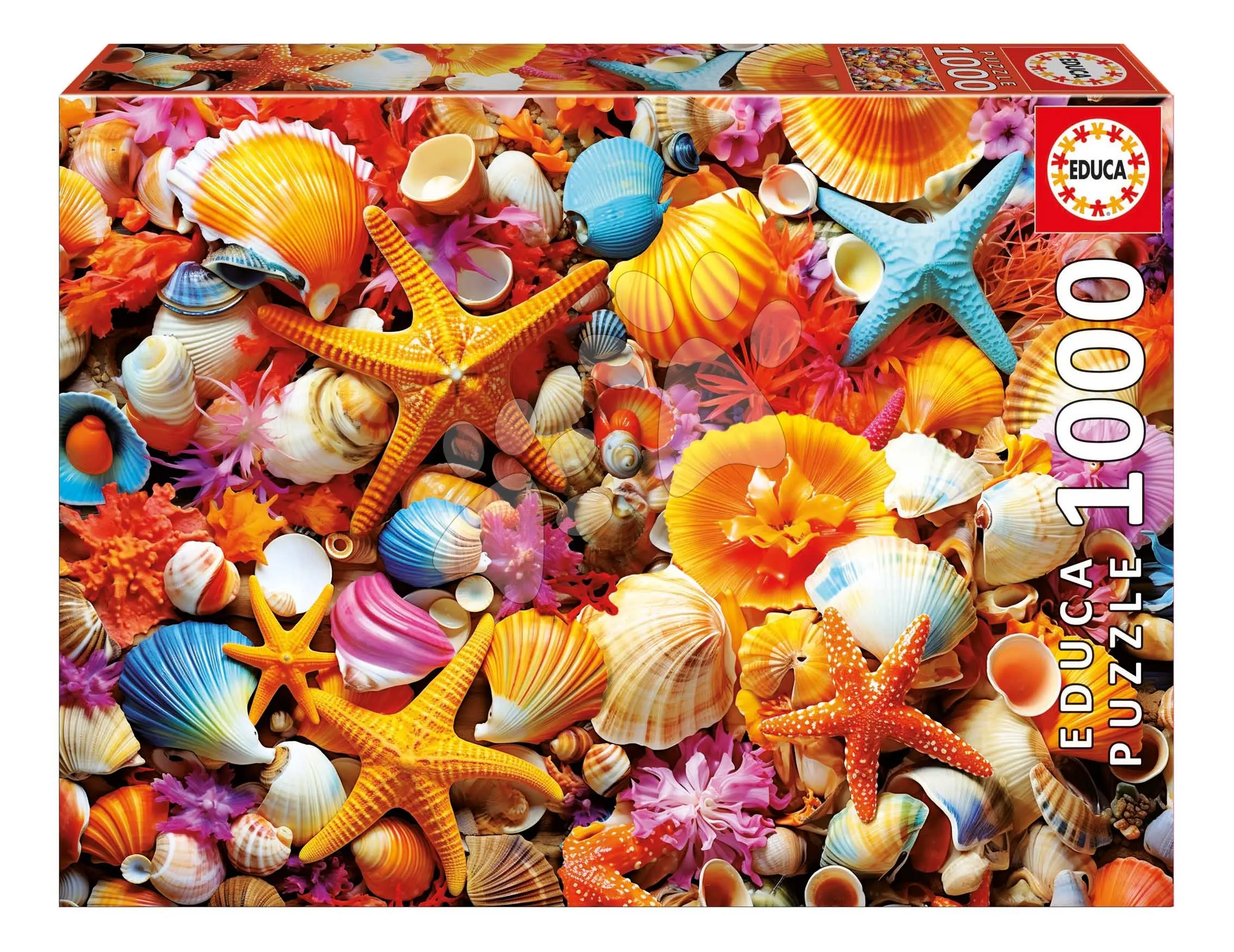 Puzzle Collage of Shells Educa 1000 dílků a Fix lepidlo