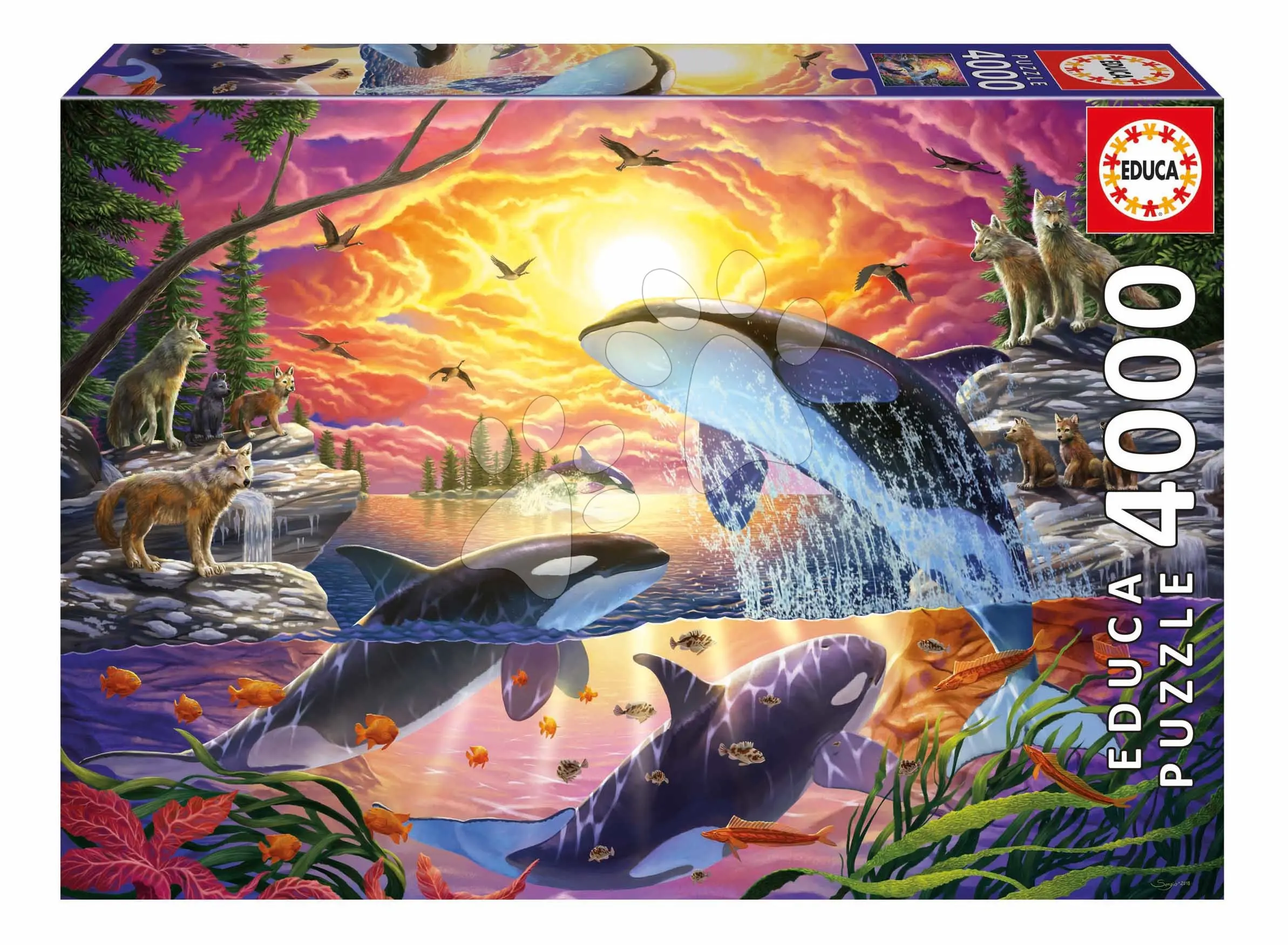 Puzzle Orcas and Wolves Living Educa 4000 dílků