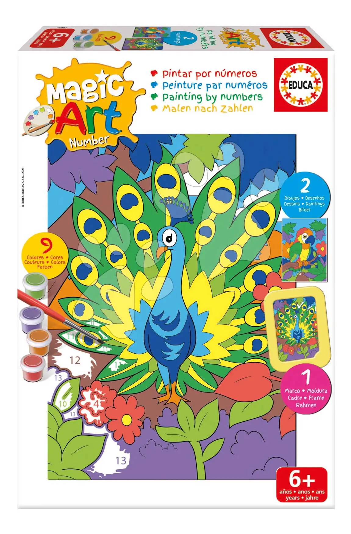 Malování podle čísel Papoušek a páv Magic Art Number Peacock & Parrot Educa 2 obrázky s rámečkem a 9 barev se štětcem a paletou od 6 let