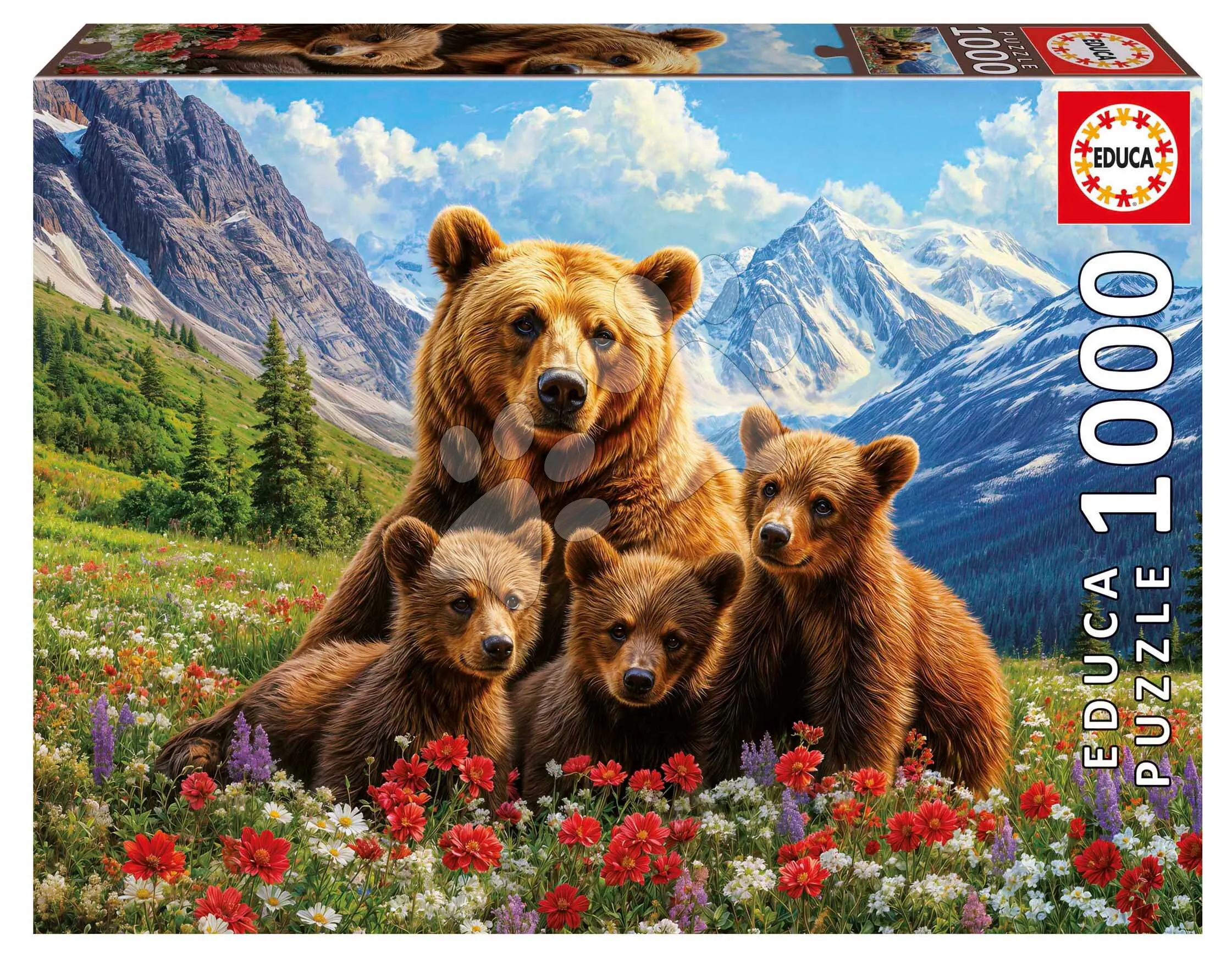 Puzzle Grizzly Bears in Canada Educa 1000 dílků a Fix lepidlo