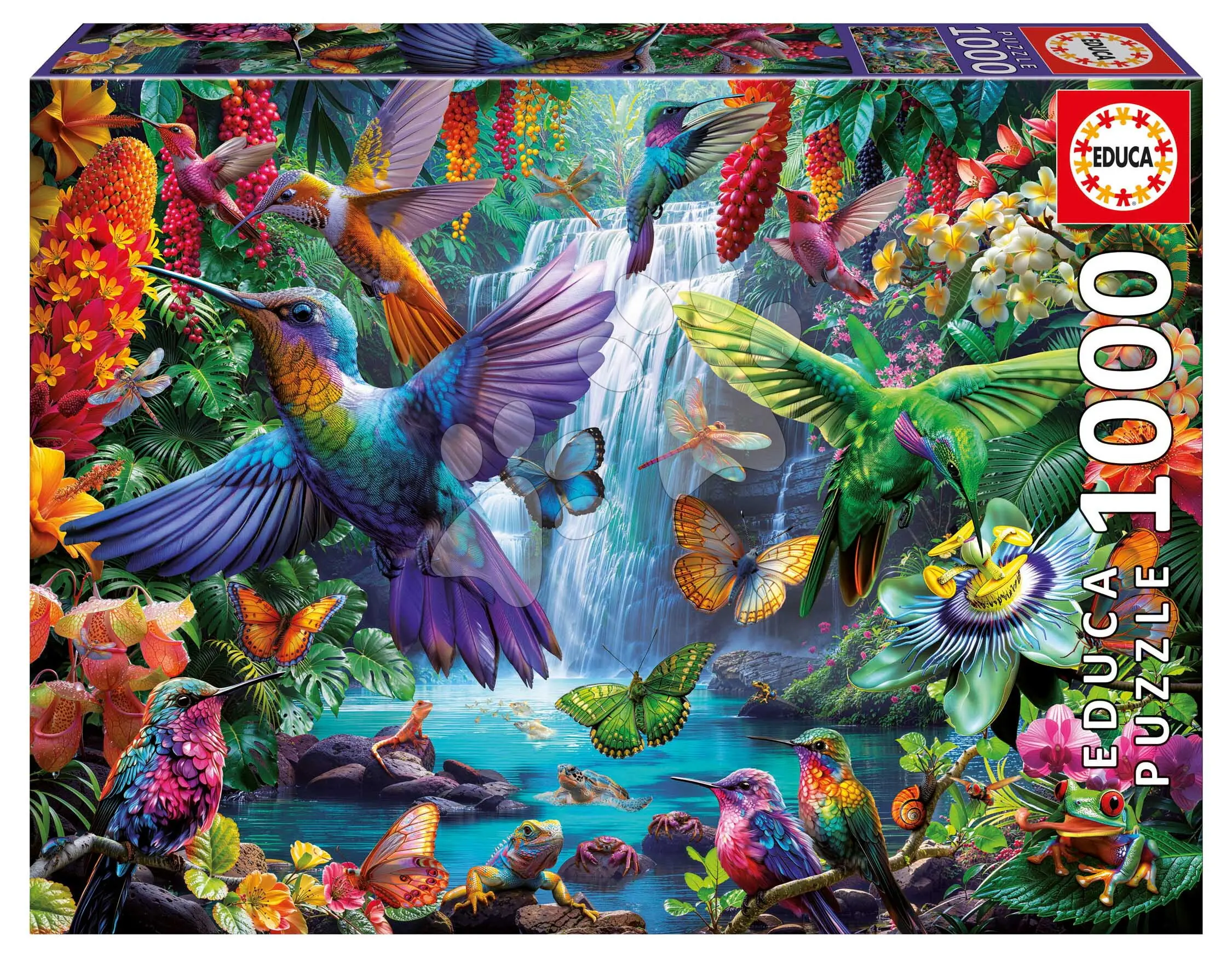 Puzzle Tropical Hummingbirds Educa 1000 dílků a Fix lepidlo