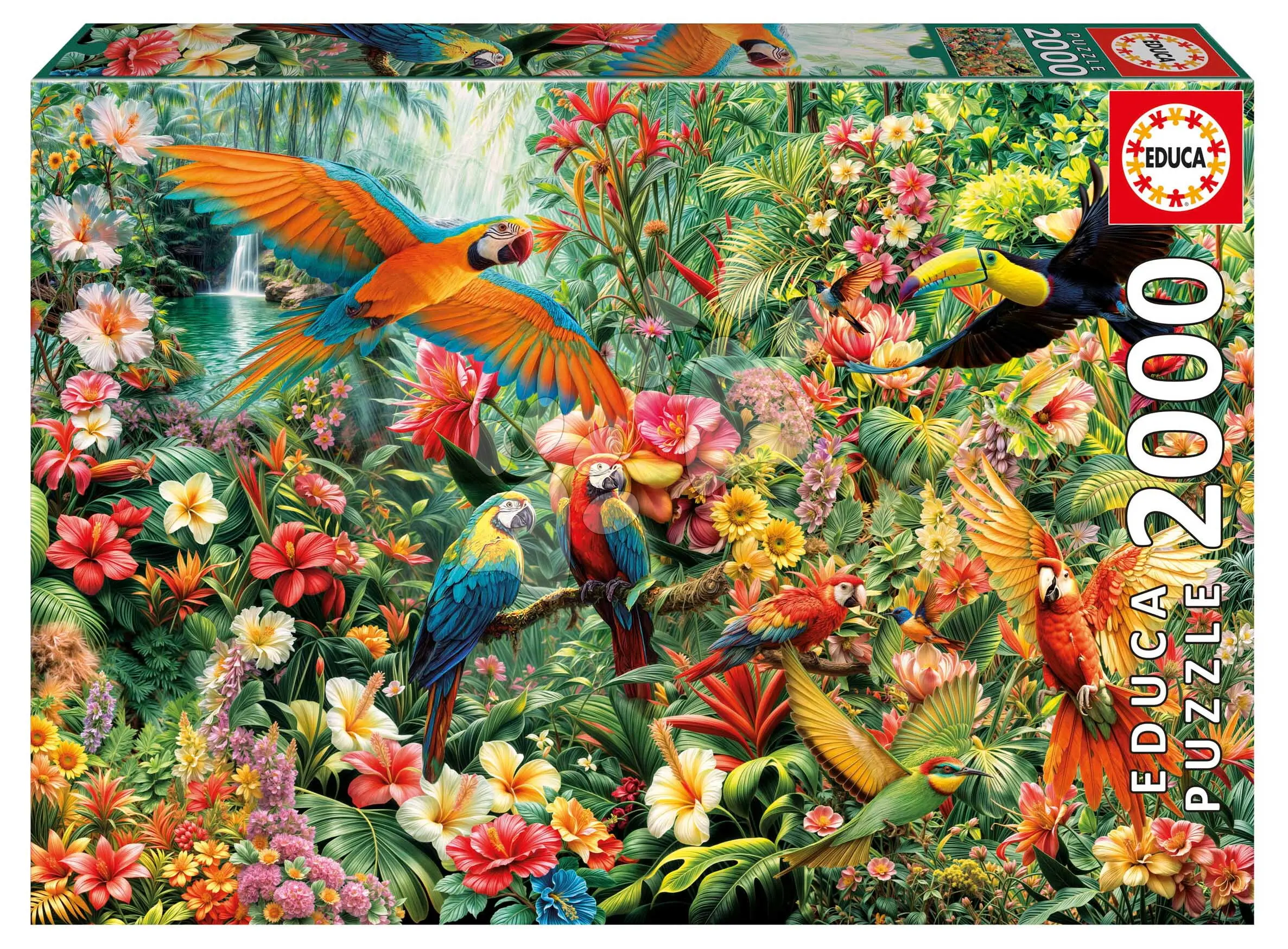 Puzzle Amazon Birds Educa 2000 dílků a Fix lepidlo