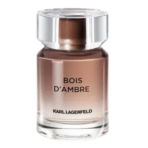Karl Lagerfeld BOIS D'AMBRE Toaletní voda pro muže