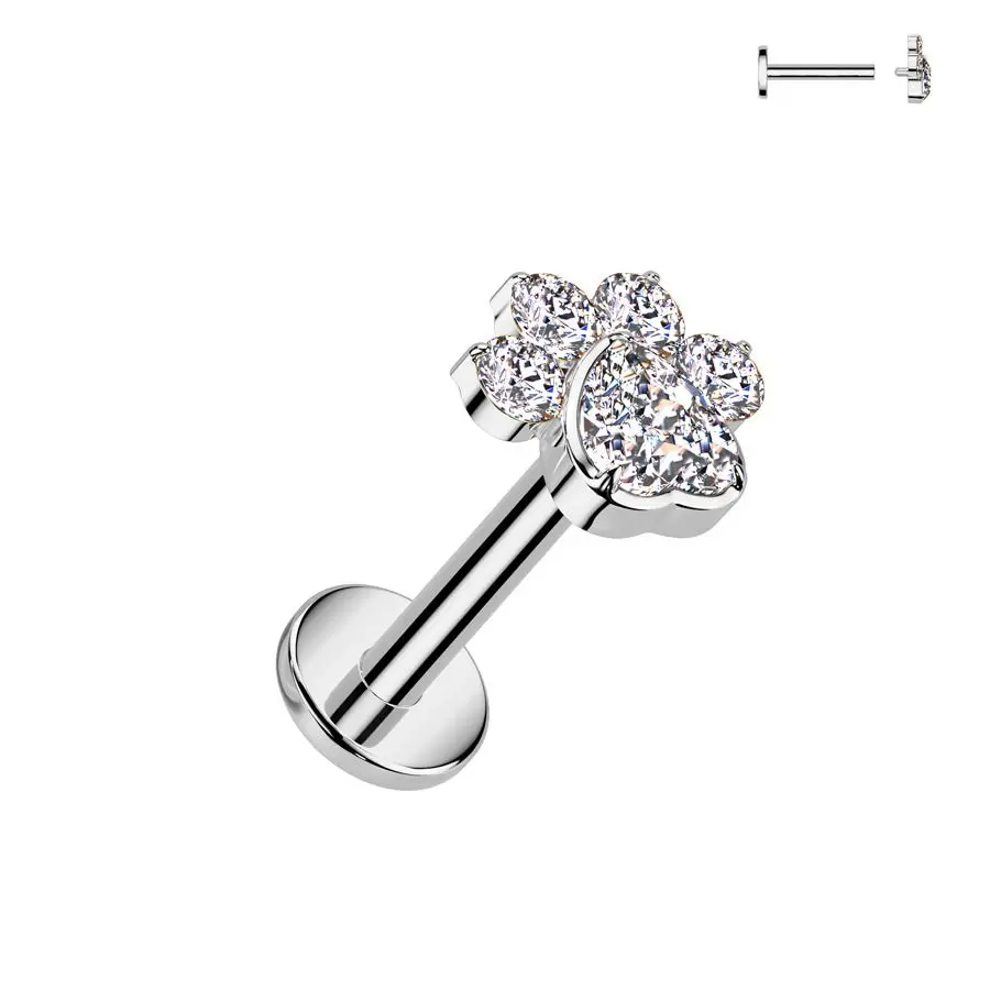 MARRE Piercing do brady - labreta tlapka TITAN (1,2 x