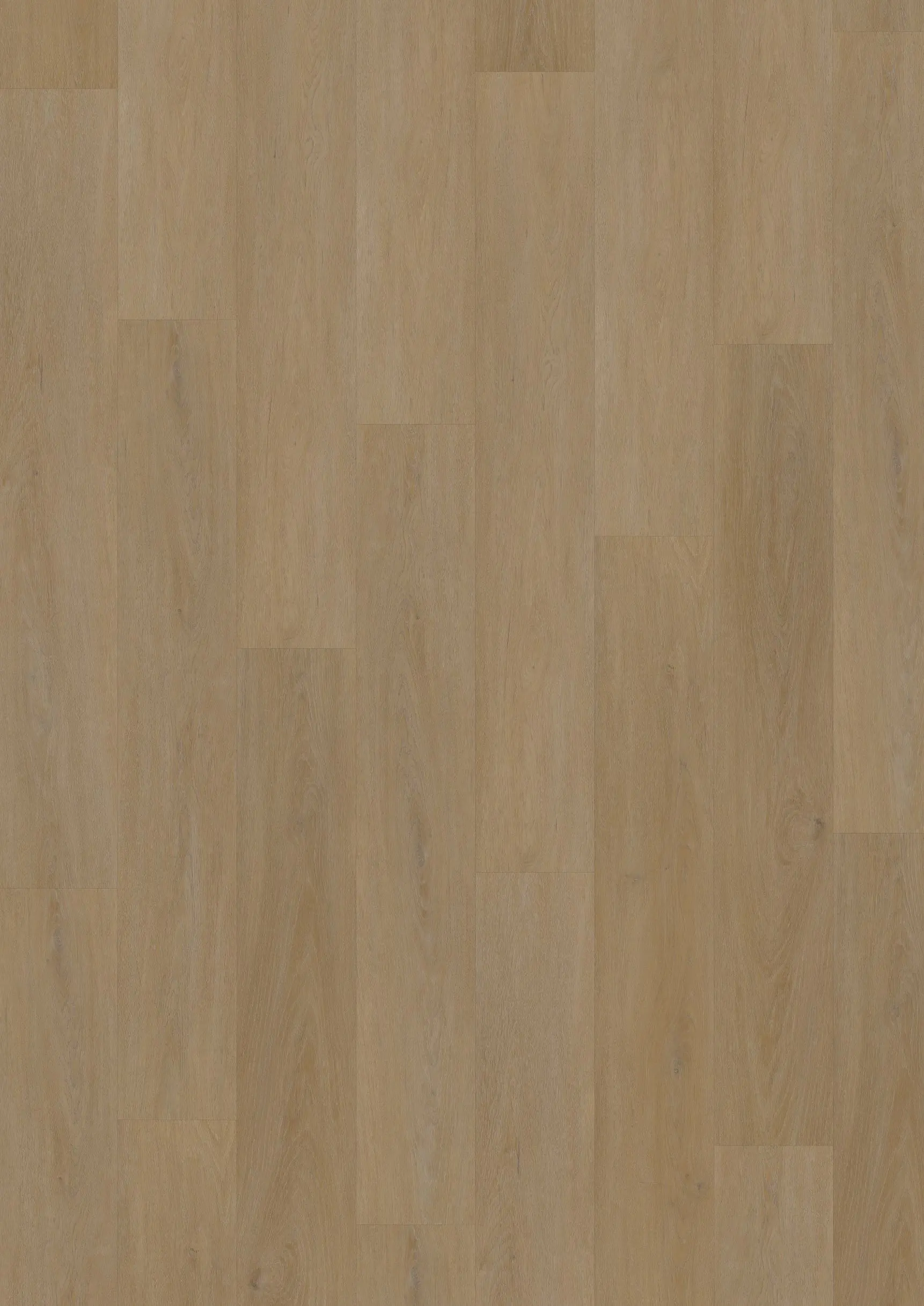 Oneflor, Vinylová podlaha lepená ECO 55 064 English Oak Honey - dub, 1219,2 x 184,1 mm