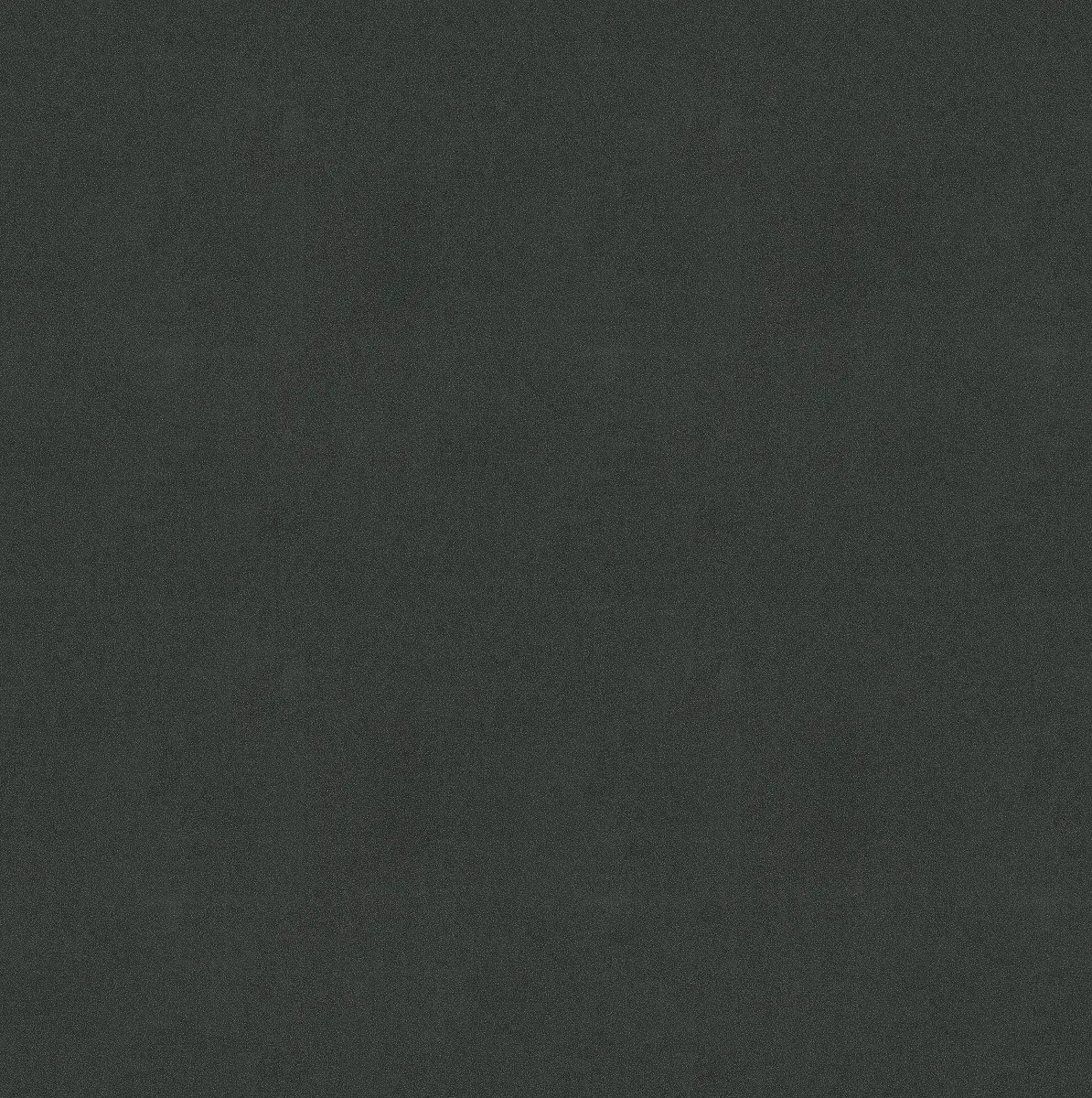 Lentex, PVC podlaha - lino Flexar PUR 603-04 černá, na míru, šíře 2m,4m, černá, bez podkladu, kancelář