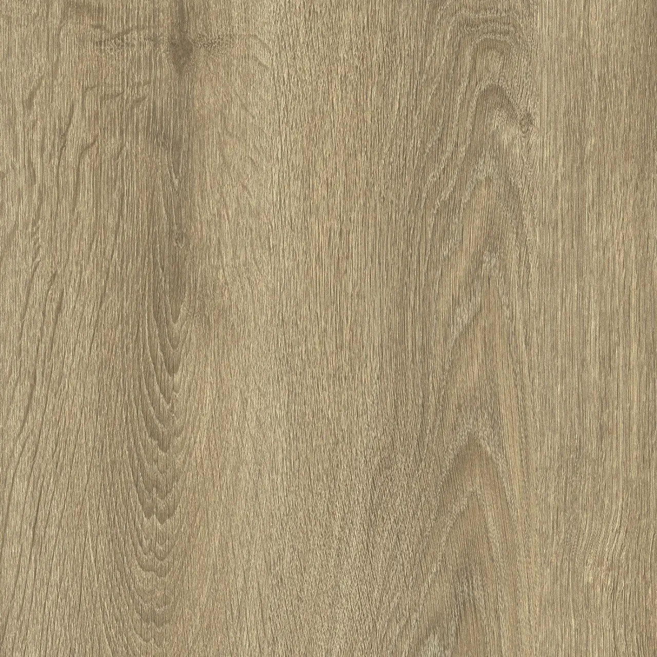 IVC Commercial, PVC podlaha - lino Logitex Ultimate 55 Elias T47, na míru, šíře 2m,4m, hnědá, filc, chodba / předsíň