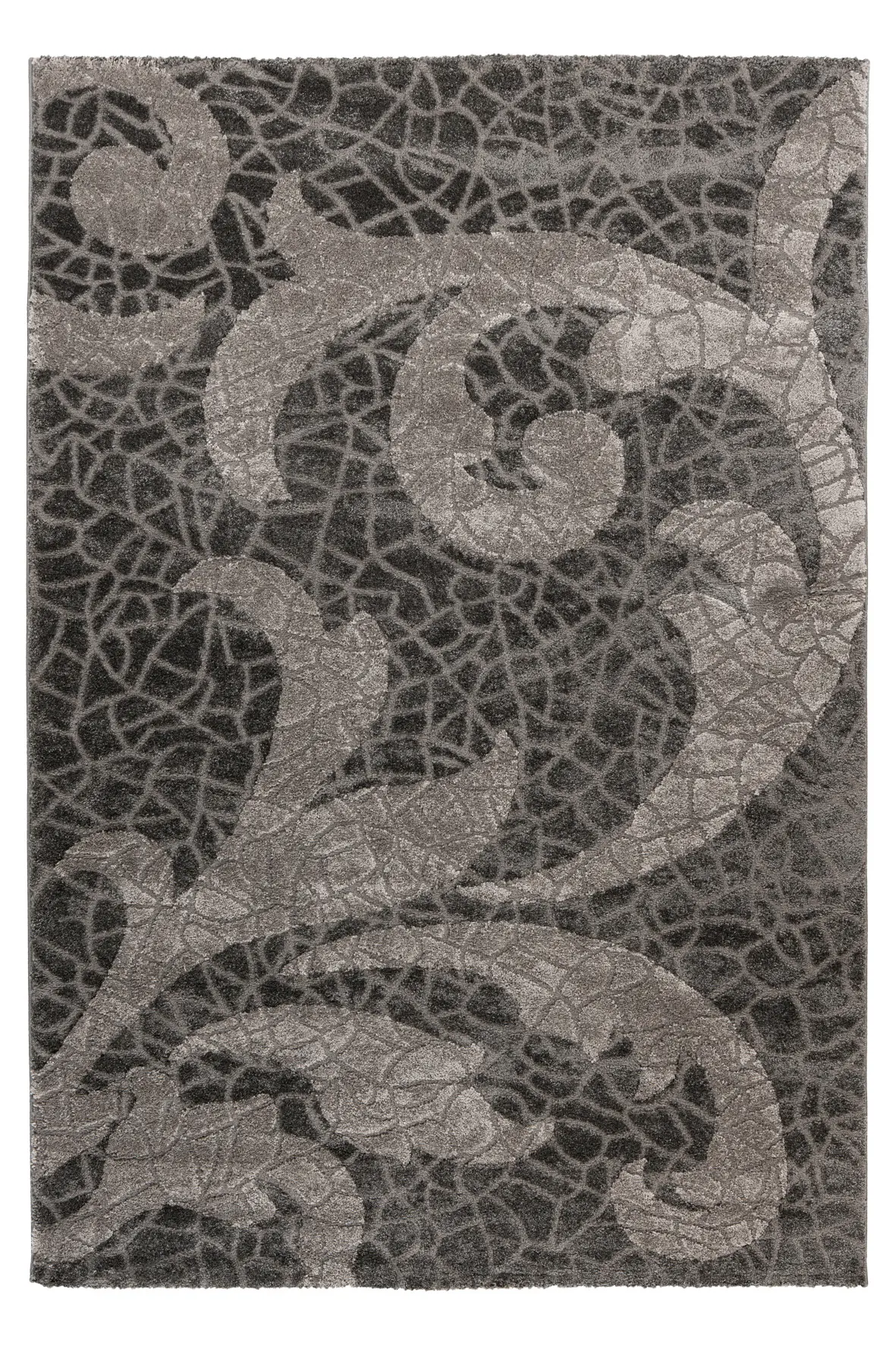 Obsession, Kusový koberec My Frisco 280 Anthracite, 240x330, šedá, ložnice