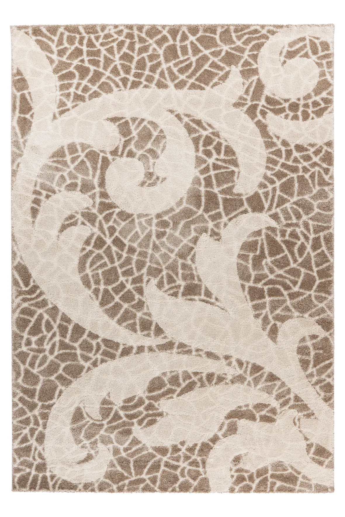 Obsession, Kusový koberec My Frisco 280 Taupe, 240x330, hnědá, ložnice