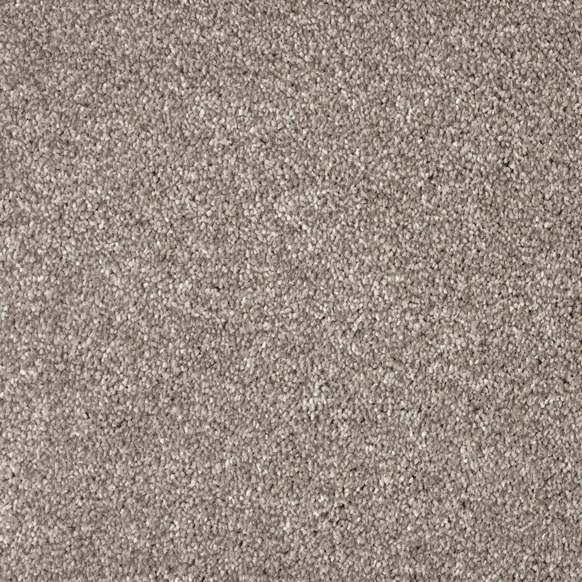 Lano, Metrážový koberec Bloom 230, na míru, šíře 4m,5m, hnědá, ab (mřížka), chodba / předsíň