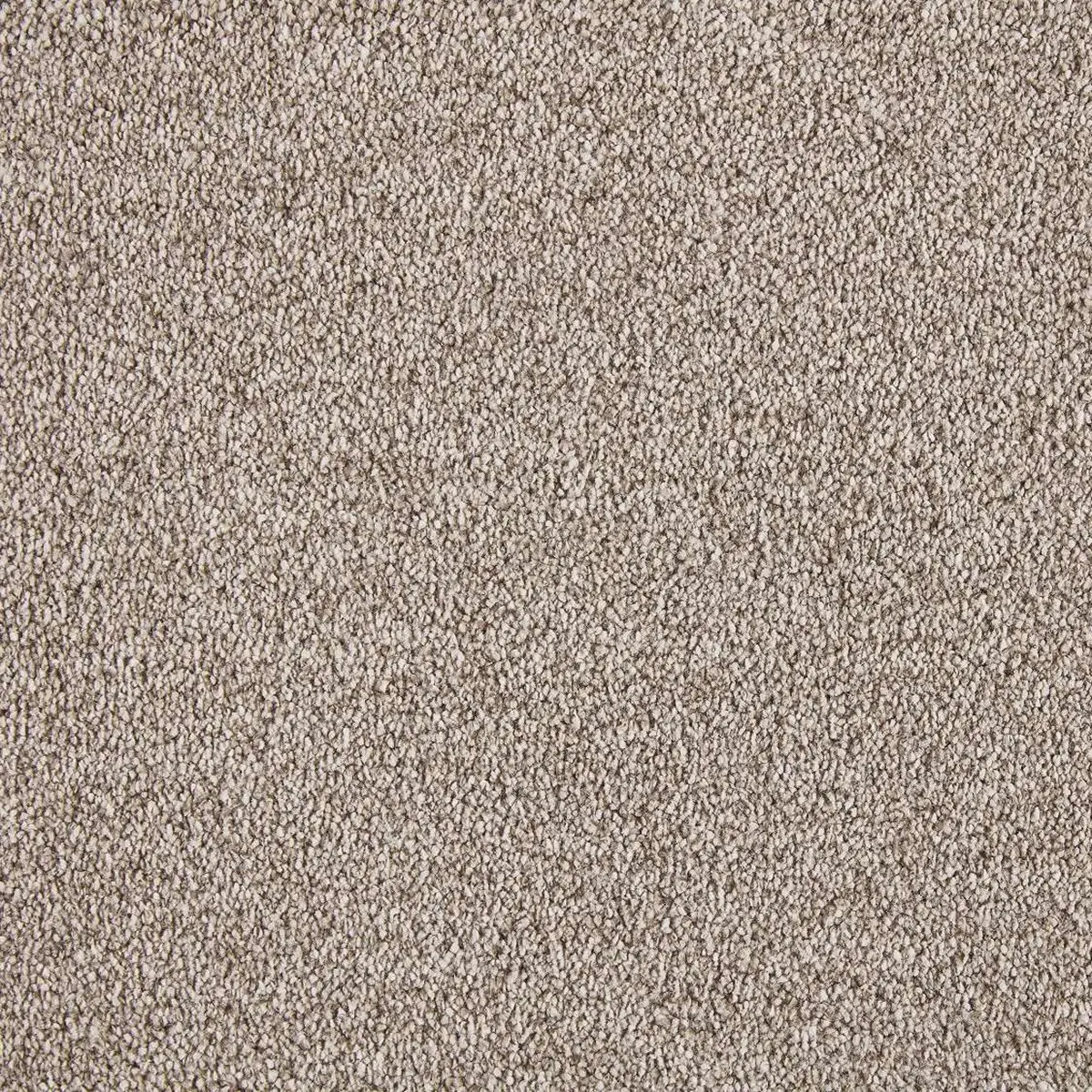 Lano, Metrážový koberec Bloom 253, na míru, šíře 4m,5m, hnědá, ab (mřížka), chodba / předsíň