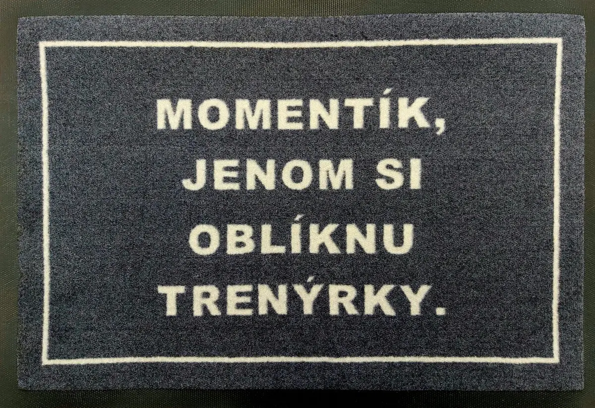 GDmats, POSLEDNÍ ŠANCE: Trenýrková rohožka 40x60 cm - na ven i na doma, 40x60, šedá