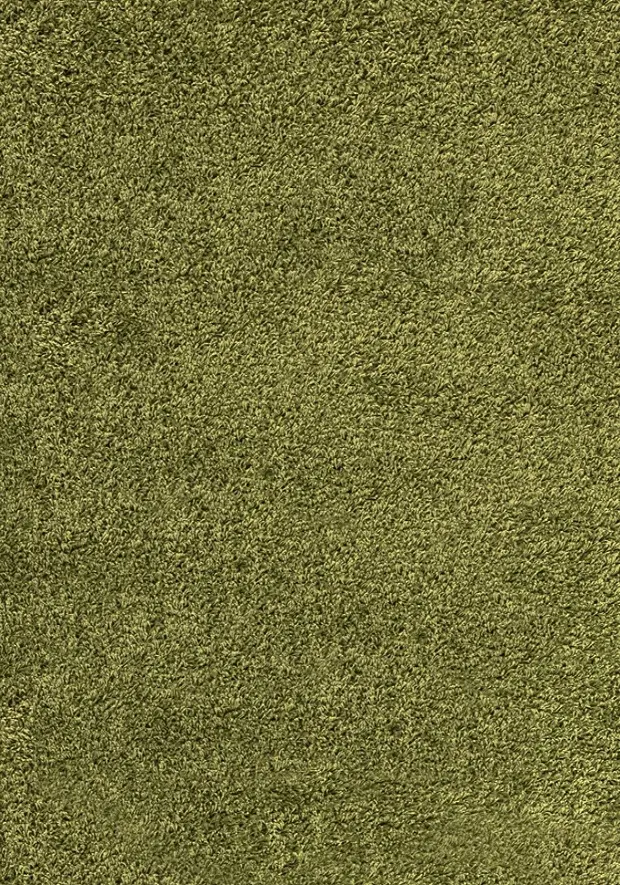 Ayyildiz, DOPRODEJ: 120x170 cm Kusový koberec Dream Shaggy 4000 green, 120x170, zelená, ložnice