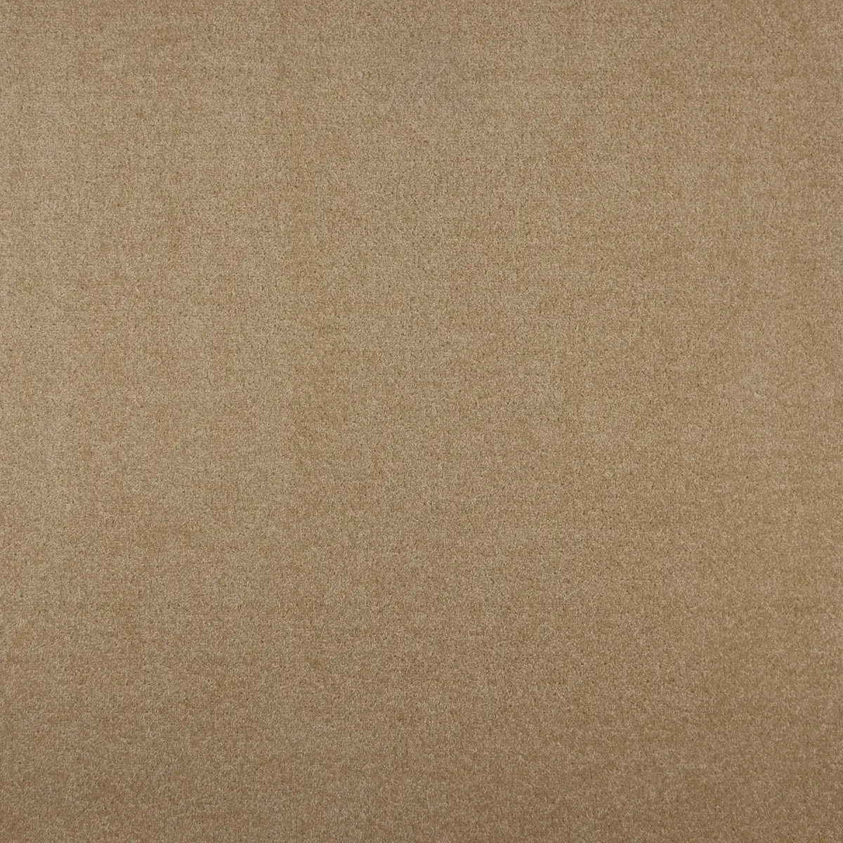 Vopi, AKCE: 50x200 cm Kusový koberec Eton béžový 70 - neúčtujeme odřezky z role - obšitý ze všech stran, šíře, béžová, filc, ložnice