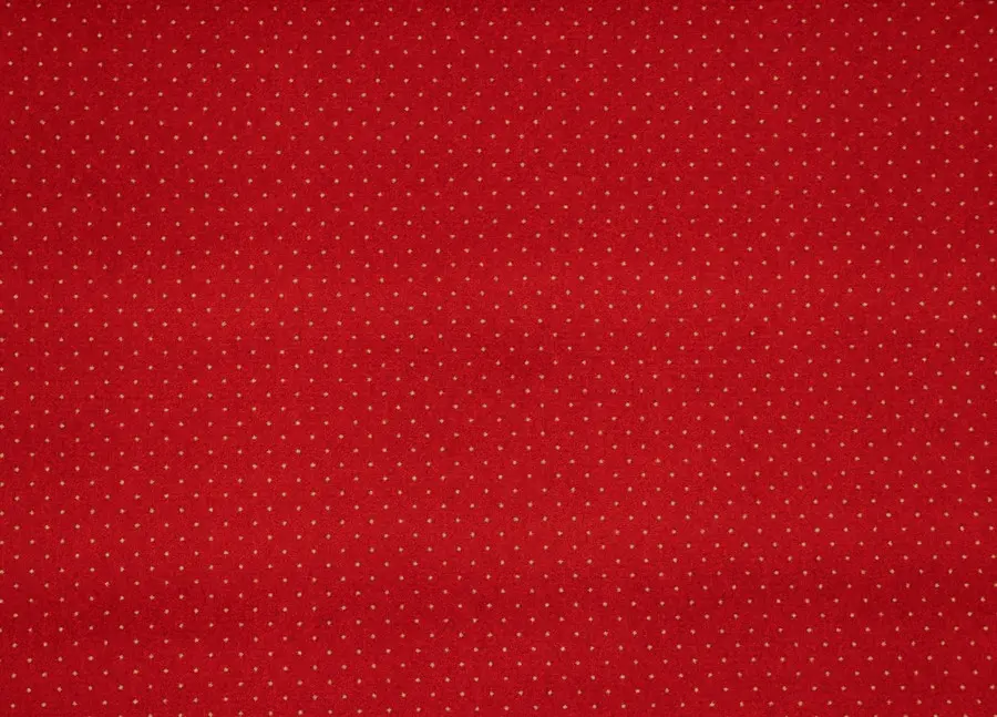 AKCE: 100x500 cm Metrážový koberec Akzento 10, zátěžový, šíře, červená, ab (mřížka), chodba / předsíň