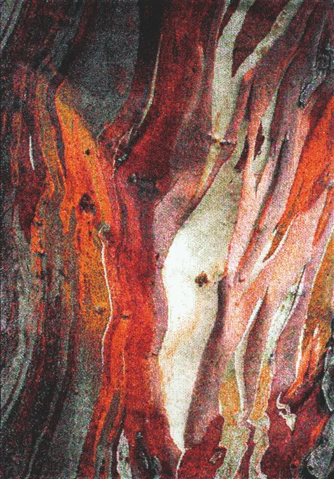 Spoltex, AKCE: 160x230 cm Kusový koberec Rust red 21304-910, vícebarevná, obývací pokoj