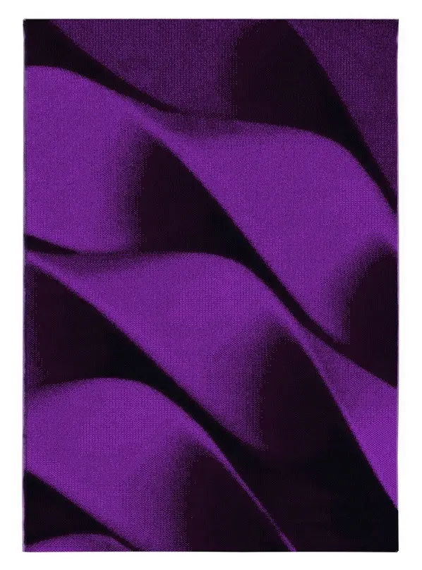 Ayyildiz, AKCE: 160x230 cm Kusový koberec Parma 9240 lila, fialová, chodba / předsíň