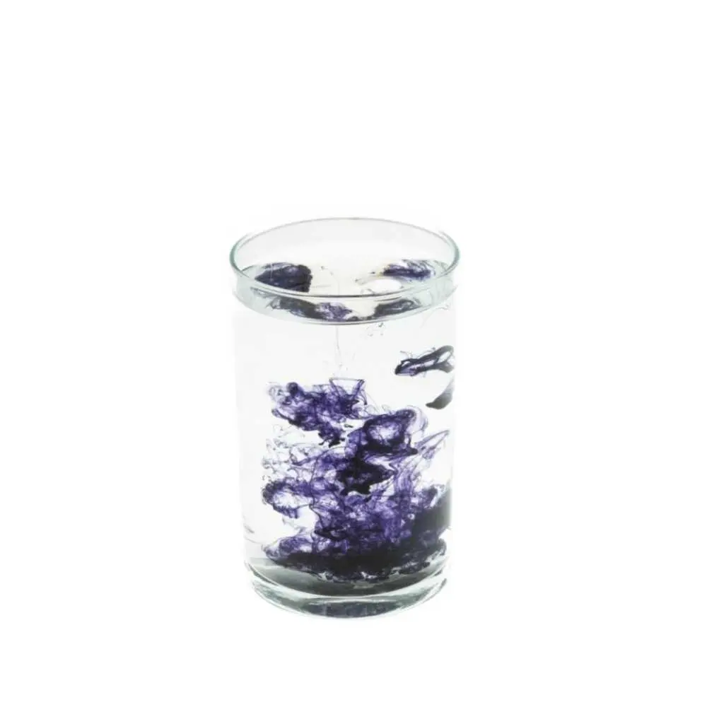 GL COLOR fialová 10ml