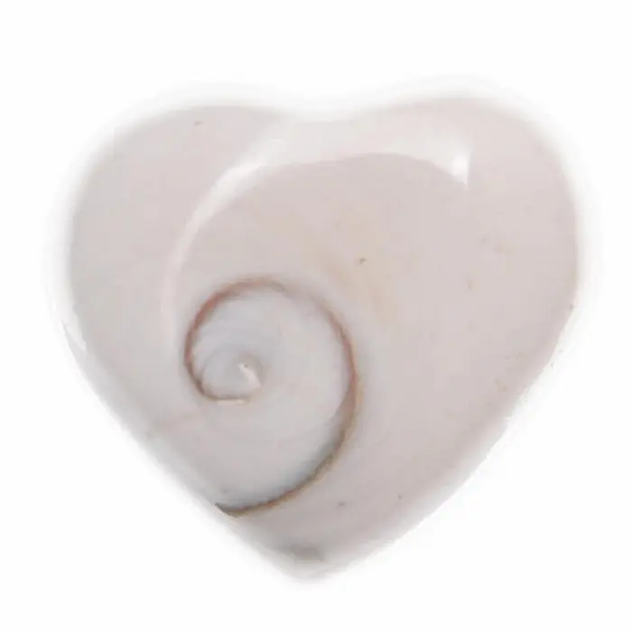 Shiva mušle SRDCE Madagaskar - XL - cca 3 - 4 cm