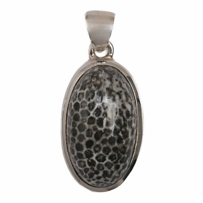 Korál fosilní Stingray přívěsek stříbro P87 - 2,5 cm, 7 g