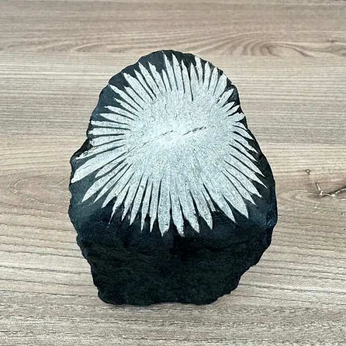 Chryzantémový kámen č. 2 - cca 7 x 10,3 cm, 320 g