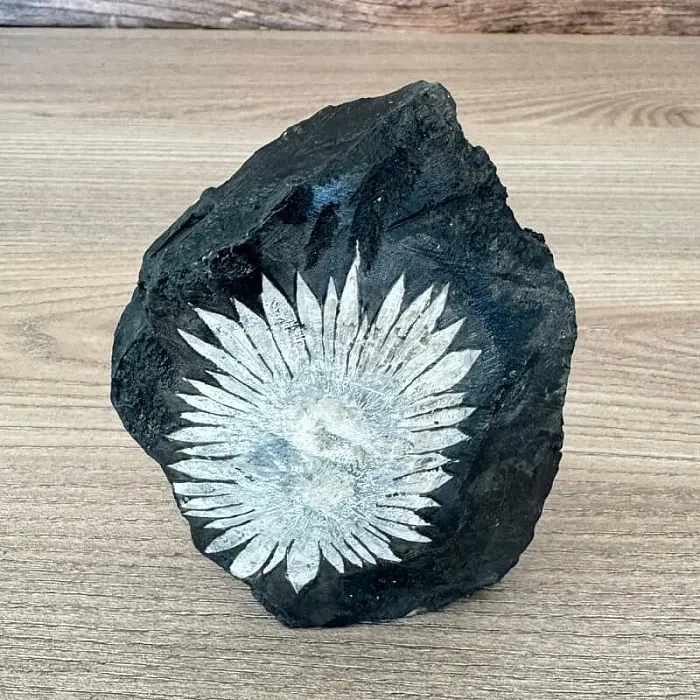 Chryzantémový kámen č. 4 - cca 8,1 x 10,5 cm, 445,9 g