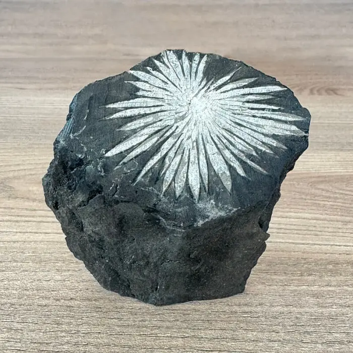 Chryzantémový kámen č. 7 - cca 8 x 9,2 cm, 230 g