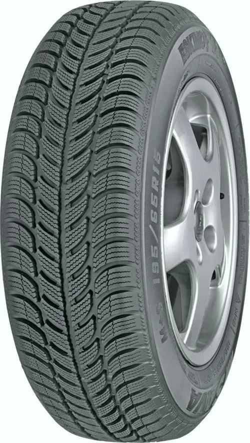 Sava 205/55R16 91T eskimo s3+ 3PMSF