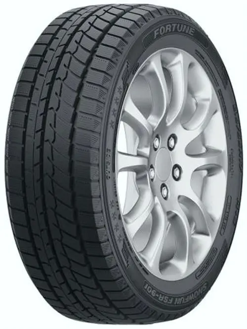 Fortune SNOWFUN FSR901 205/55 R17 95H