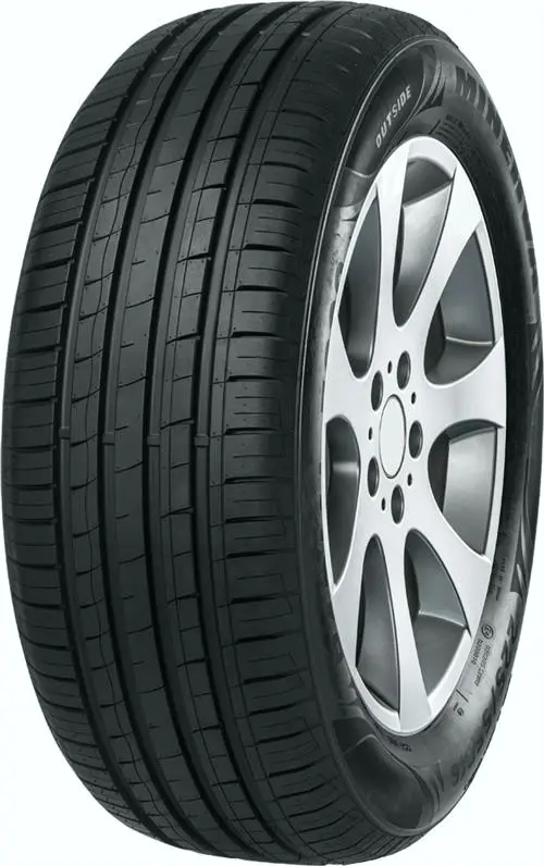 Minerva F209 195/55 R15 85V