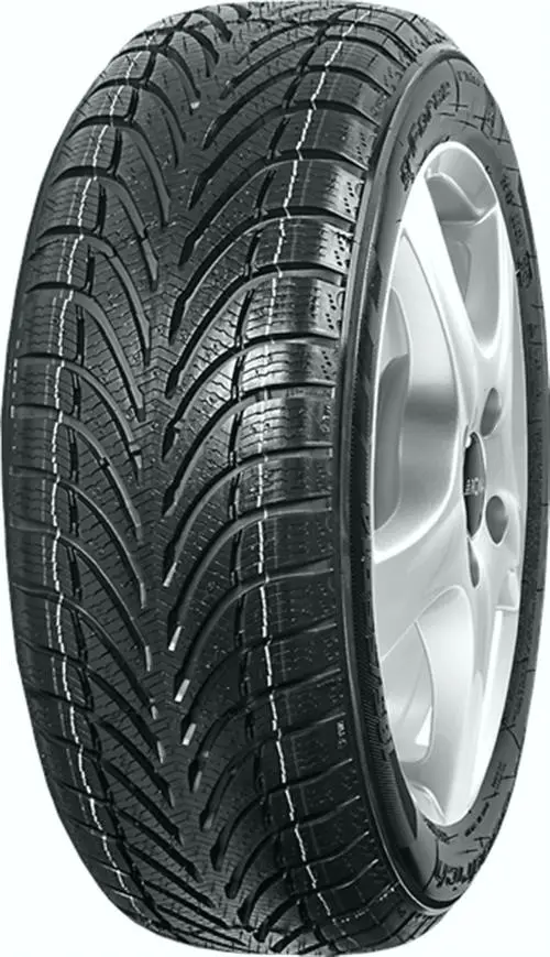 BFGoodrich G FORCE WINTER 205/60 R15 95H