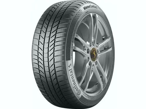 Continental WINTER CONTACT TS 870 P 255/30 R19 91W