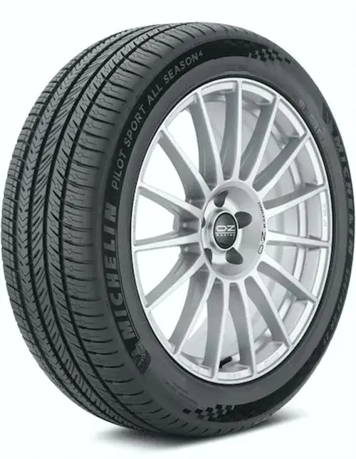 Michelin PILOT SPORT ALL SEASON 4 315/30 R21 105V