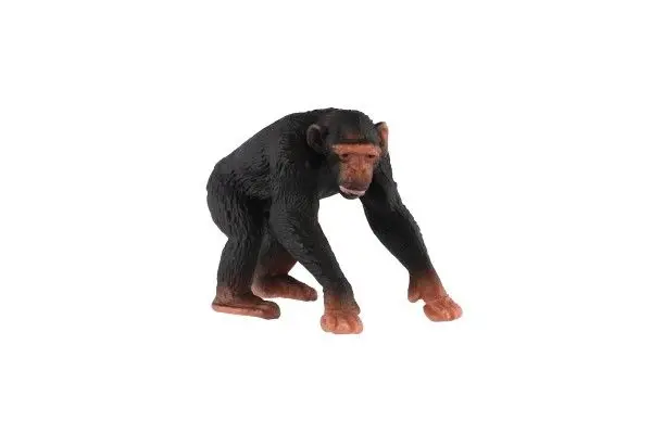 Teddies Šimpanz učenlivý - zooted - 7 cm