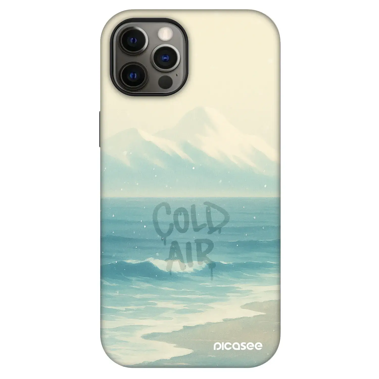 Fashion Case MagSafe Apple iPhone 12 - COLD AIR