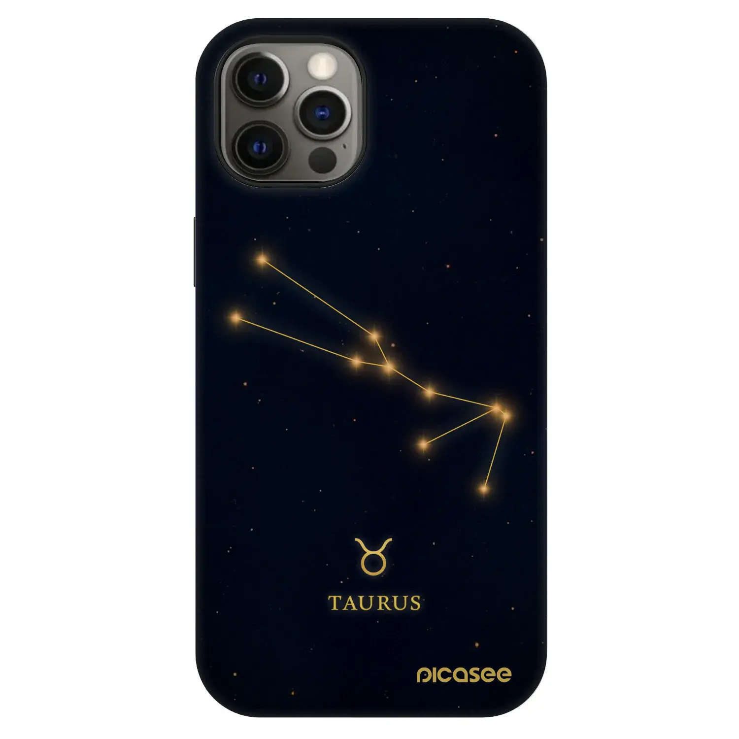 Fashion Case MagSafe Apple iPhone 12 - TAURUS
