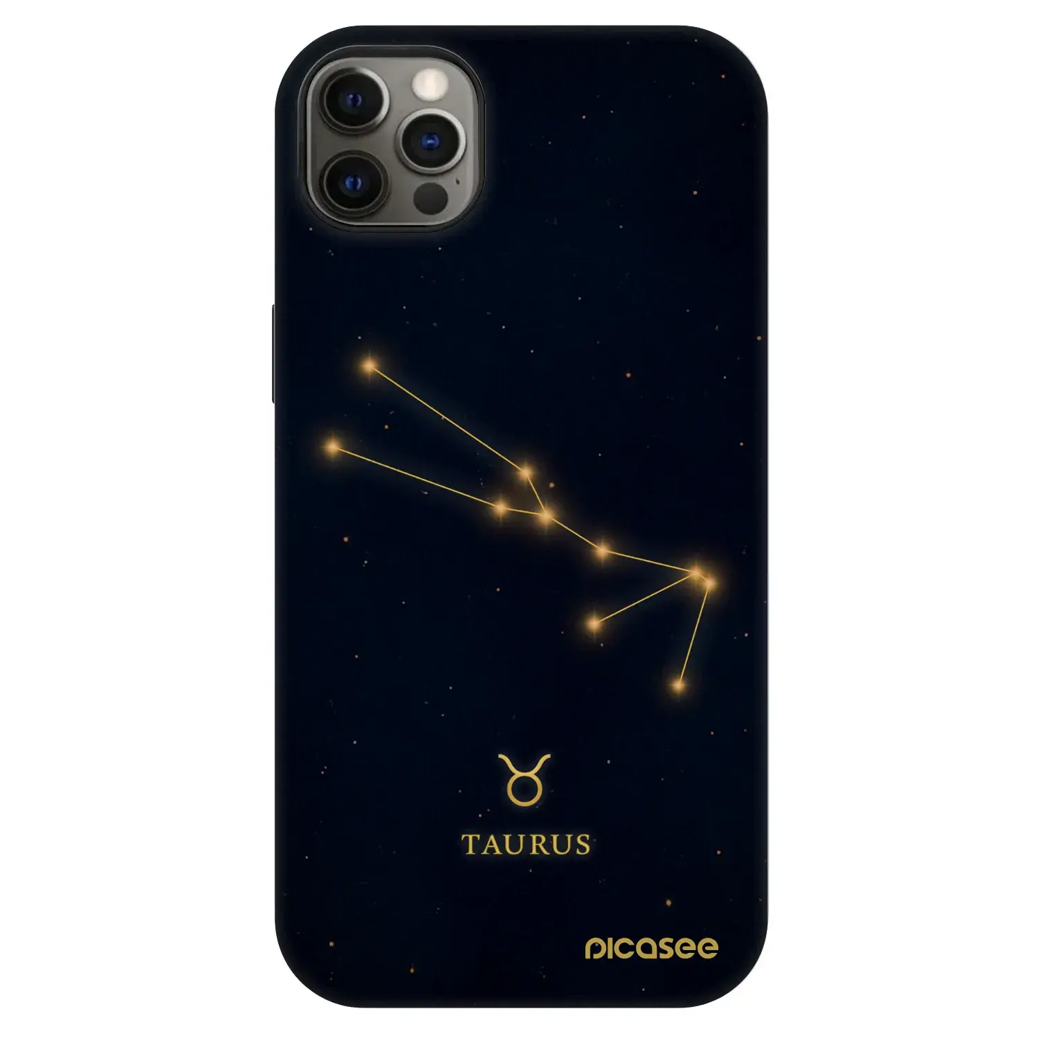 Fashion Case MagSafe Apple iPhone 12 Pro Max - TAURUS