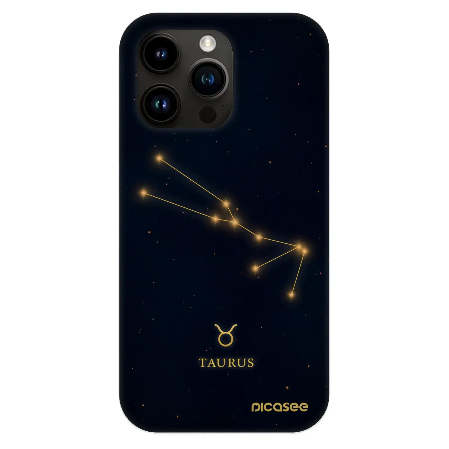 Fashion Case MagSafe Apple iPhone 13 Pro - TAURUS