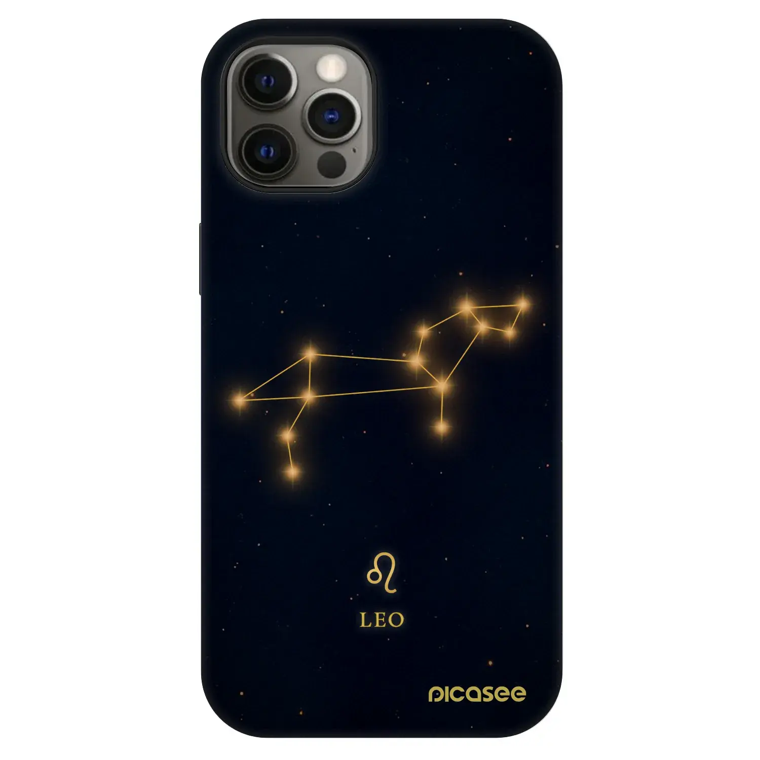 Fashion Case MagSafe Apple iPhone 12 - LEO
